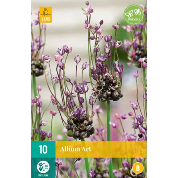 10 allium art calibre : 5/+