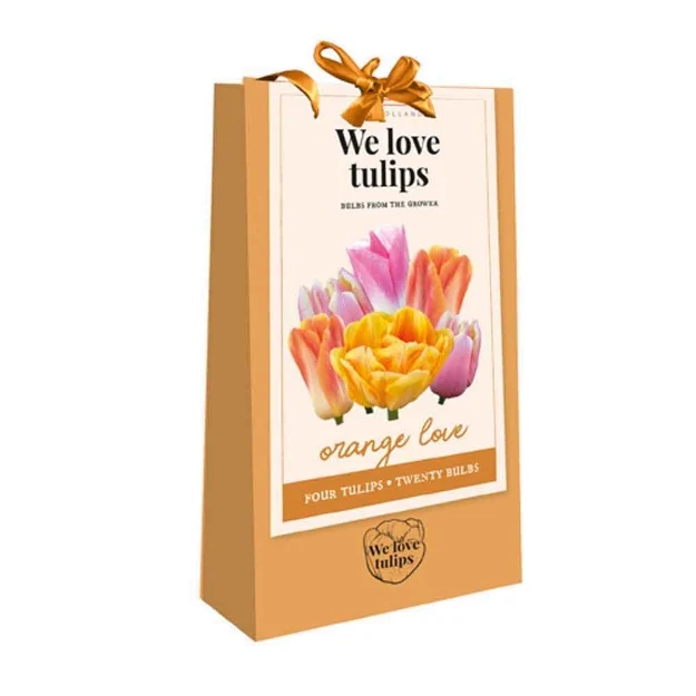 1 sac cadeau 20 tulipes 'we love tulips' orange love calibre : 11/12