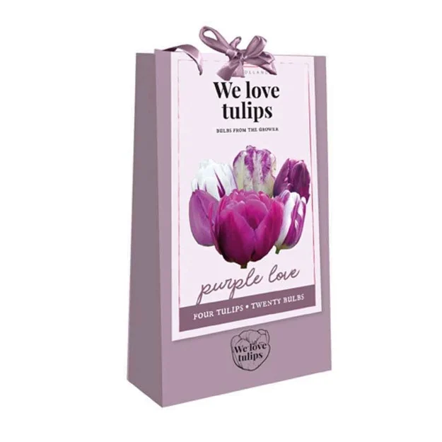 1 sac cadeau 20 tulipes 'we love tulips' purple love calibre : 11/12