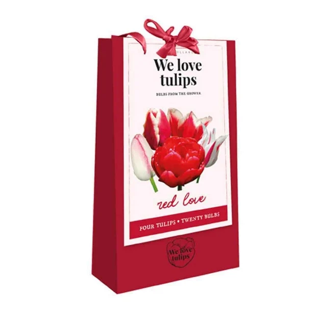 1 sac cadeau 20 tulipes 'we love tulips' red love calibre : 11/12