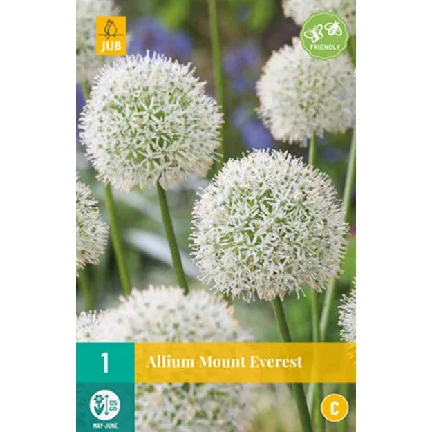 1 allium mount everest calibre : 20/+