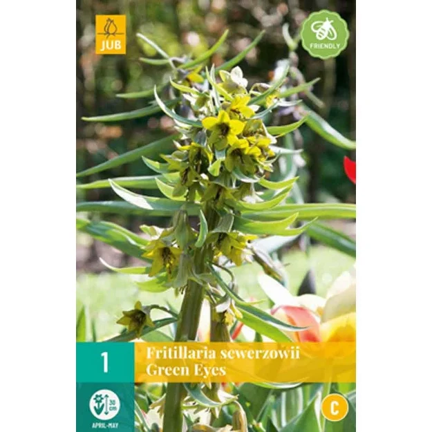 1 fritillaria green eyes calibre : 20/24