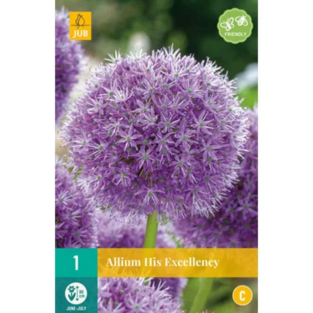 1 allium his excellency calibre :18/20
