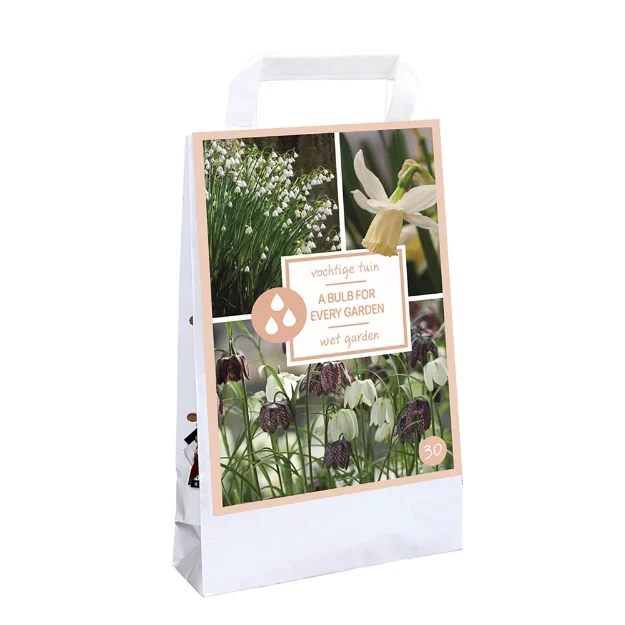 1 TAS 30 BULBS FOR EVERY GARDEN -jardin humide
