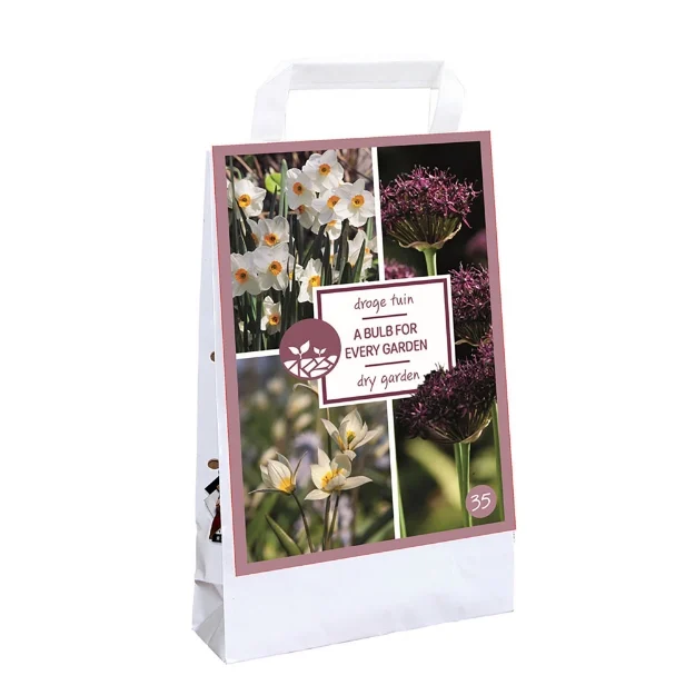 1 SAC 35 BULBS FOR EVERY GARDEN - jardin sec