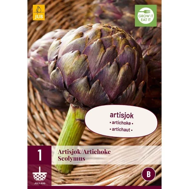 1 cynara scolymus i