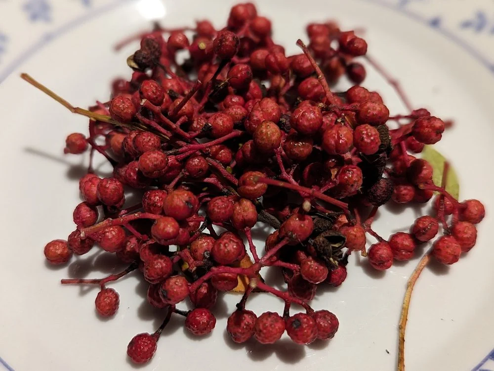 Zanthoxylum piperitum, Poivrier de Sichuan